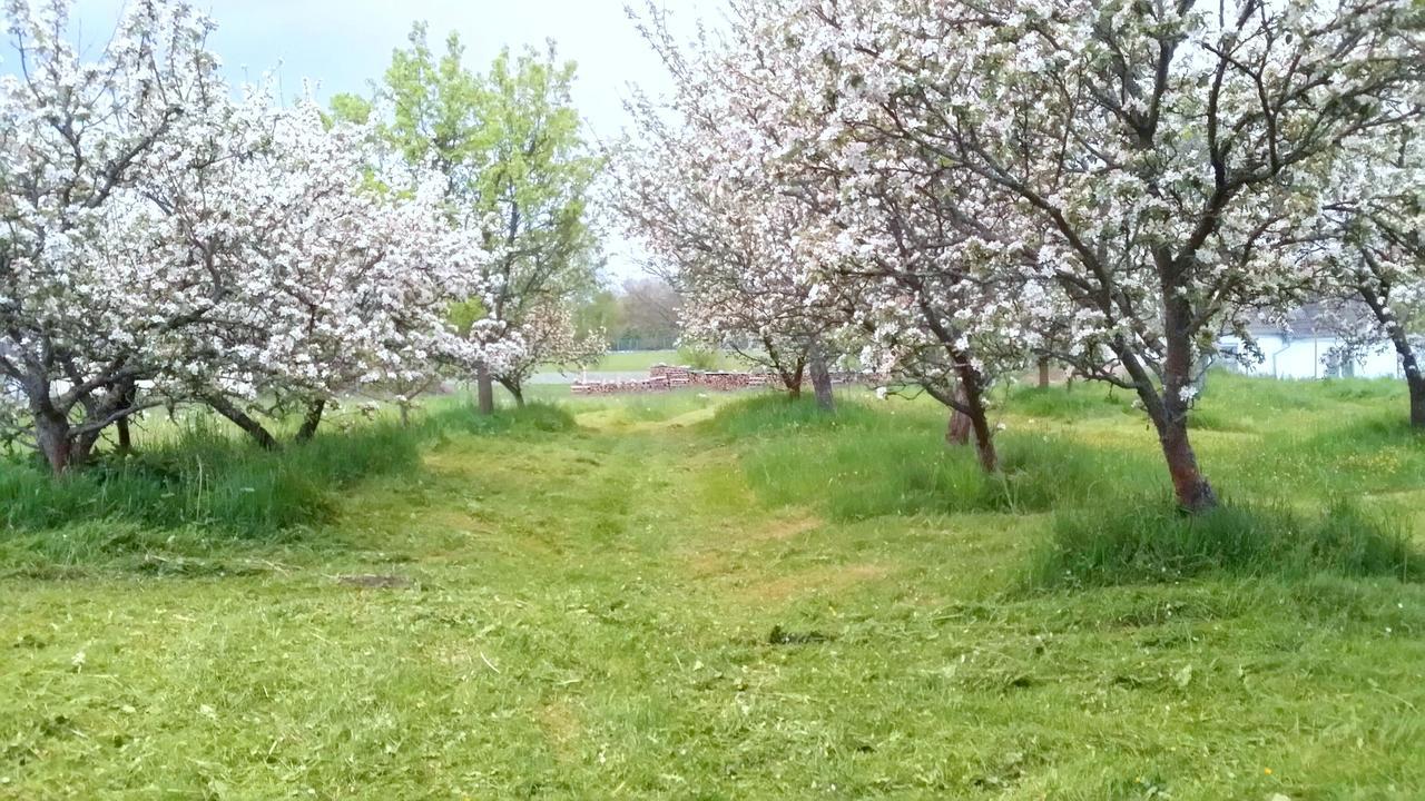 Hrachoviste Safar Residence מראה חיצוני תמונה